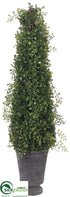 Silk Plants Direct Angel Vine Topiary Cone - Green - Pack of 2