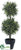 Rosemary Double Ball Topiary - Green - Pack of 8