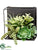 Silk Plants Direct Succulent - Green - Pack of 6