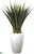Agave Plant - Green - Pack of 1