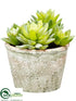 Silk Plants Direct Sedum - Green - Pack of 6