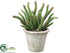 Silk Plants Direct Cactus - Green - Pack of 6