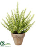 Silk Plants Direct Sedum - Green - Pack of 1