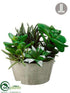 Silk Plants Direct Succulent Garden - Green - Pack of 2