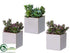 Silk Plants Direct Succulent Garden - Green Gray - Pack of 4