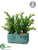 Succulent - Green - Pack of 4