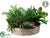 Succulent Garden - Green - Pack of 2