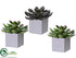 Silk Plants Direct Echeveria - Green Mauve - Pack of 4