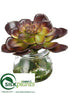 Silk Plants Direct Echeveria - Green Burgundy - Pack of 12