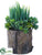 Silk Plants Direct Succulent - Green - Pack of 2