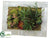 Succulent Garden Wall Arrangement - Green Burgundy - Pack of 4
