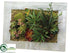 Silk Plants Direct Succulent Garden Wall Arrangement - Green Burgundy - Pack of 4