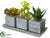 Succulent - Green - Pack of 4