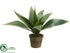 Silk Plants Direct Agave Plant - Green - Pack of 6