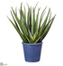Silk Plants Direct Agave - Green - Pack of 2