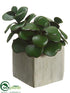 Silk Plants Direct Jade Plant - Green - Pack of 12