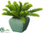 Silk Plants Direct Donkey Tail Plant - Green Gray - Pack of 4