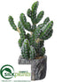 Silk Plants Direct Cactus - Green - Pack of 6