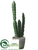 Fence Post Cactus - Green - Pack of 2