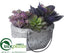 Silk Plants Direct Succulent Garden - Green Purple - Pack of 2