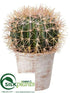 Silk Plants Direct Barrel Cactus - Green - Pack of 4