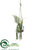 Succulent Garden - Green - Pack of 6