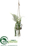 Silk Plants Direct Succulent Garden - Green - Pack of 6
