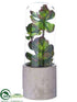 Silk Plants Direct Succulent - Green - Pack of 2