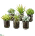 Silk Plants Direct Succulent Garden in Glass - Green - Pack of 2