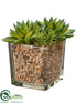 Silk Plants Direct Echeveria - Green - Pack of 8