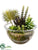 Succulent Garden - Green - Pack of 2