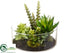 Silk Plants Direct Succulent Garden - Green - Pack of 4