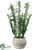 Silk Plants Direct Cactus - Green - Pack of 4
