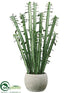Silk Plants Direct Cactus - Green - Pack of 1