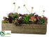 Silk Plants Direct Succulent Garden - Green Burgundy - Pack of 2