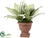 Silk Plants Direct Agave Plant - Green - Pack of 2