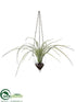 Silk Plants Direct Hanging Tillandsia - Green - Pack of 6