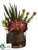 Succulent Garden Arrangement - Green Burgundy - Pack of 4