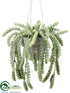 Silk Plants Direct Donkey Tail Bush - Green Frosted - Pack of 6