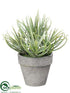 Silk Plants Direct Aloe Plant - Green Frosted - Pack of 6
