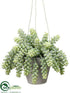 Silk Plants Direct Sedum - Green Frosted - Pack of 6
