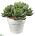 Silk Plants Direct Echeveria - Green - Pack of 4