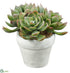 Silk Plants Direct Echeveria - Green Red - Pack of 4