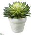 Silk Plants Direct Echeveria - Green Two Tone - Pack of 4