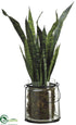 Silk Plants Direct Sansevieria - Green Two Tone - Pack of 1