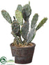 Silk Plants Direct Bunny Ear Cactus - Green - Pack of 6