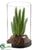Cactus - Green - Pack of 12