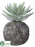 Silk Plants Direct Dudleya - Green Gray - Pack of 2