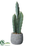 Silk Plants Direct Column Cactus - Green Gray - Pack of 2