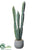 Column Cactus - Green Gray - Pack of 2